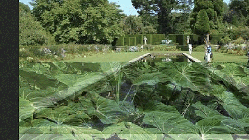 [1-5]抠掉池塘外的荷叶